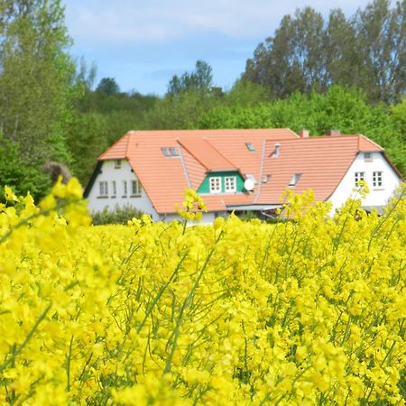 Landhaus Alt Reddevitz Middelhagen Zewnętrze zdjęcie