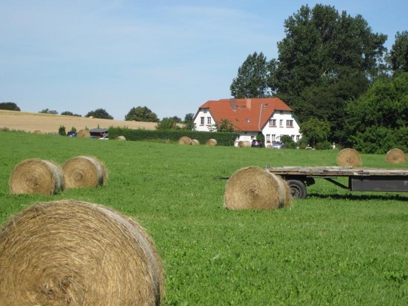 Landhaus Alt Reddevitz Middelhagen Zewnętrze zdjęcie