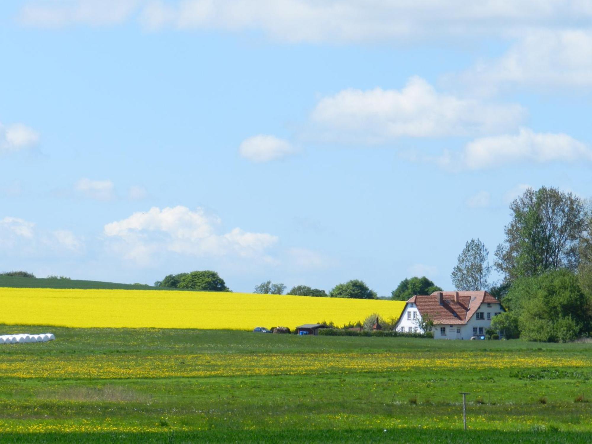 Landhaus Alt Reddevitz Middelhagen Zewnętrze zdjęcie