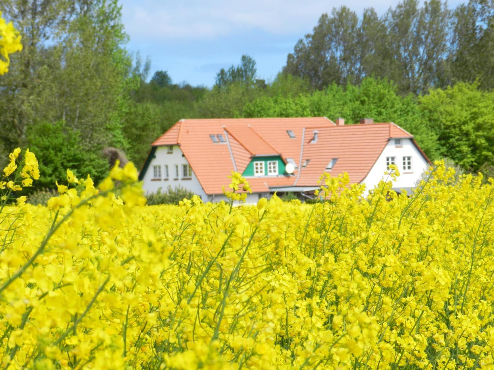 Landhaus Alt Reddevitz Middelhagen Zewnętrze zdjęcie