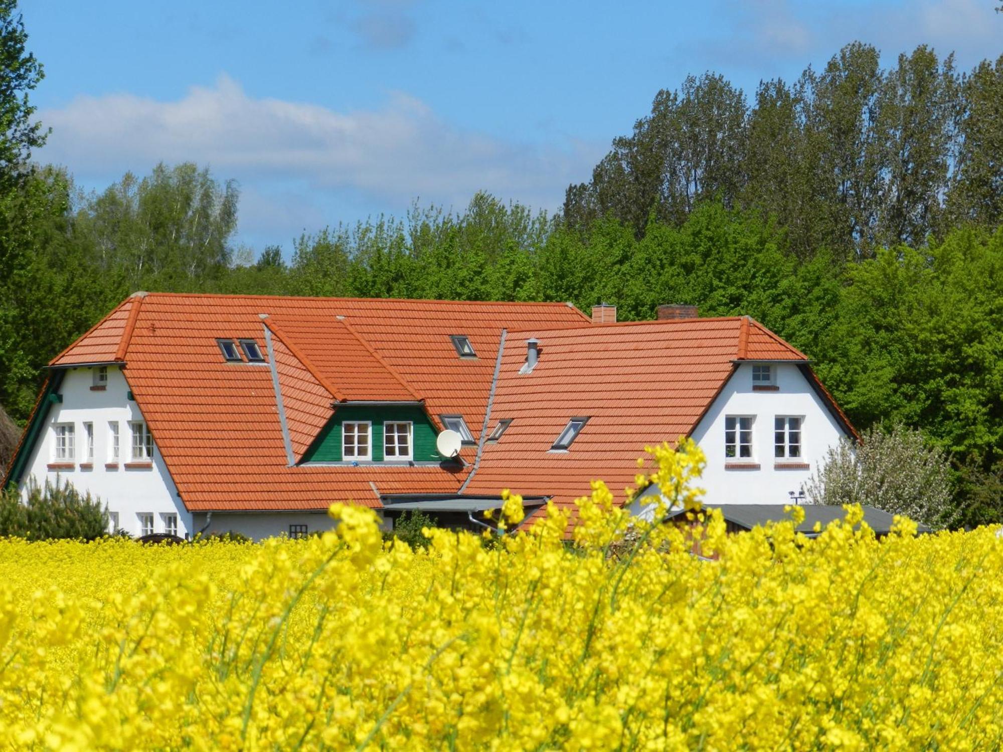 Landhaus Alt Reddevitz Middelhagen Zewnętrze zdjęcie