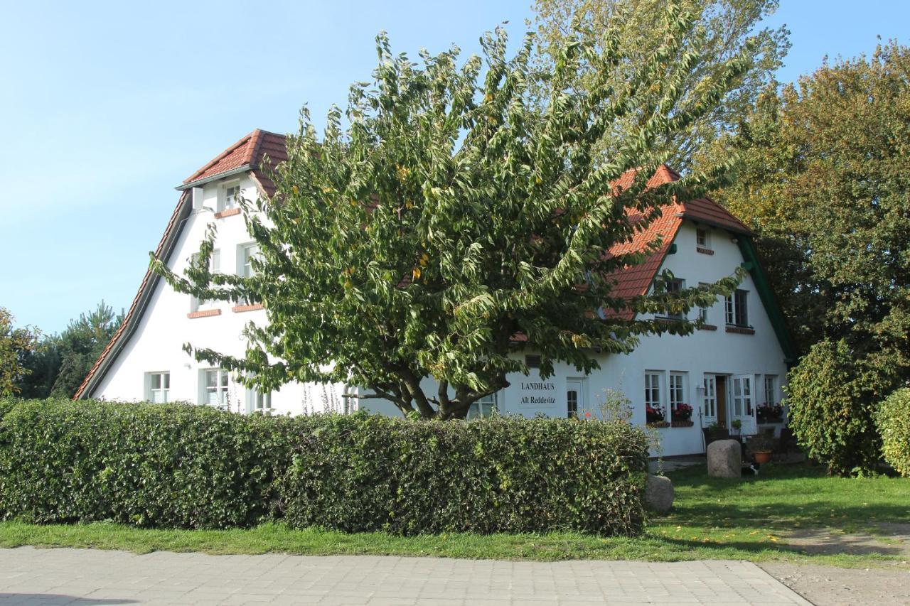 Landhaus Alt Reddevitz Middelhagen Zewnętrze zdjęcie