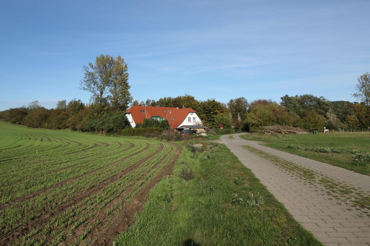 Landhaus Alt Reddevitz Middelhagen Zewnętrze zdjęcie
